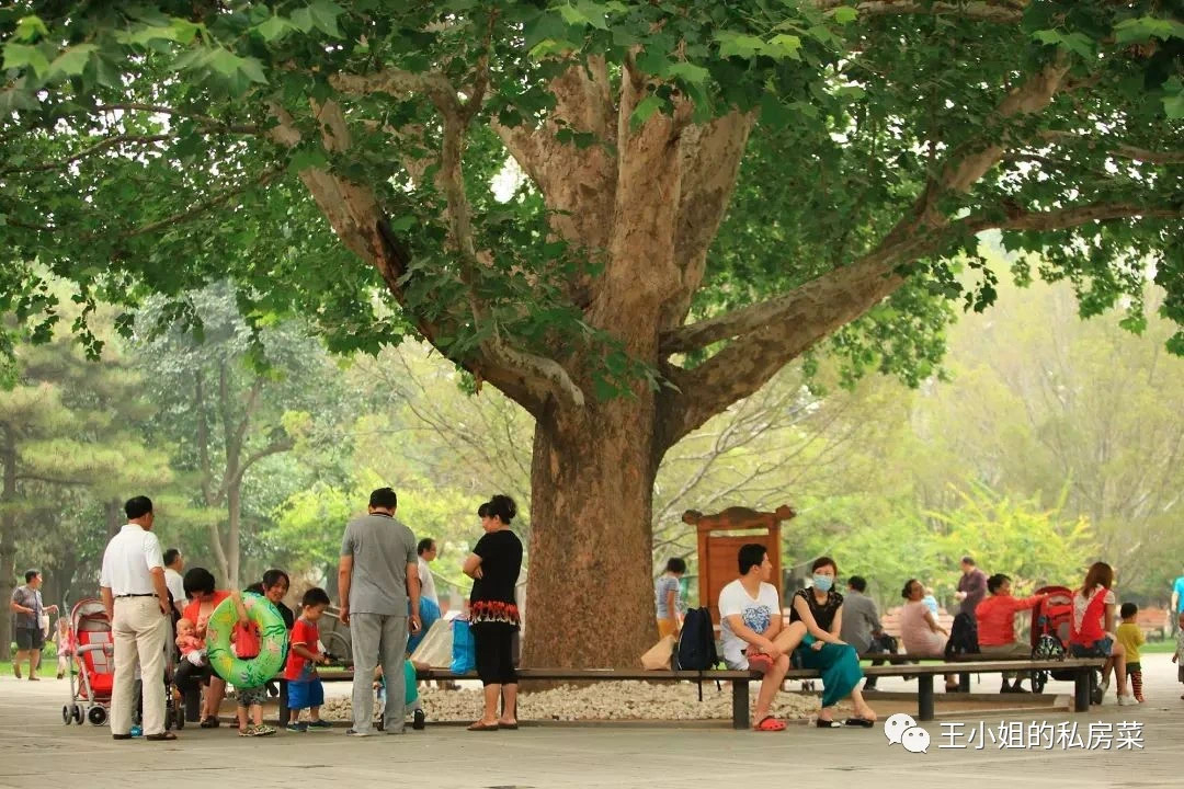 每一個(gè)大樹(shù)其實(shí)都很平凡